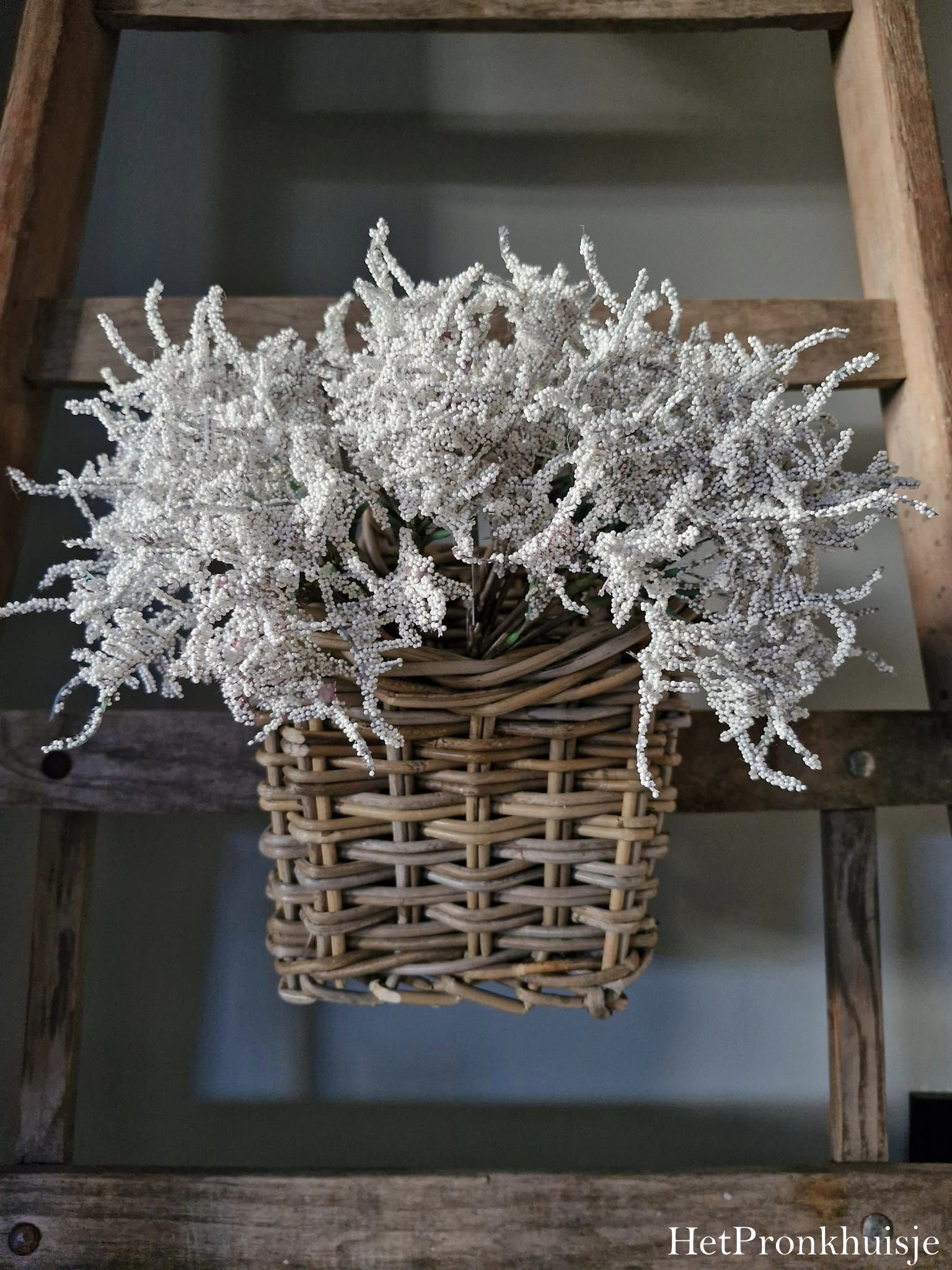 Rotan mand met oog