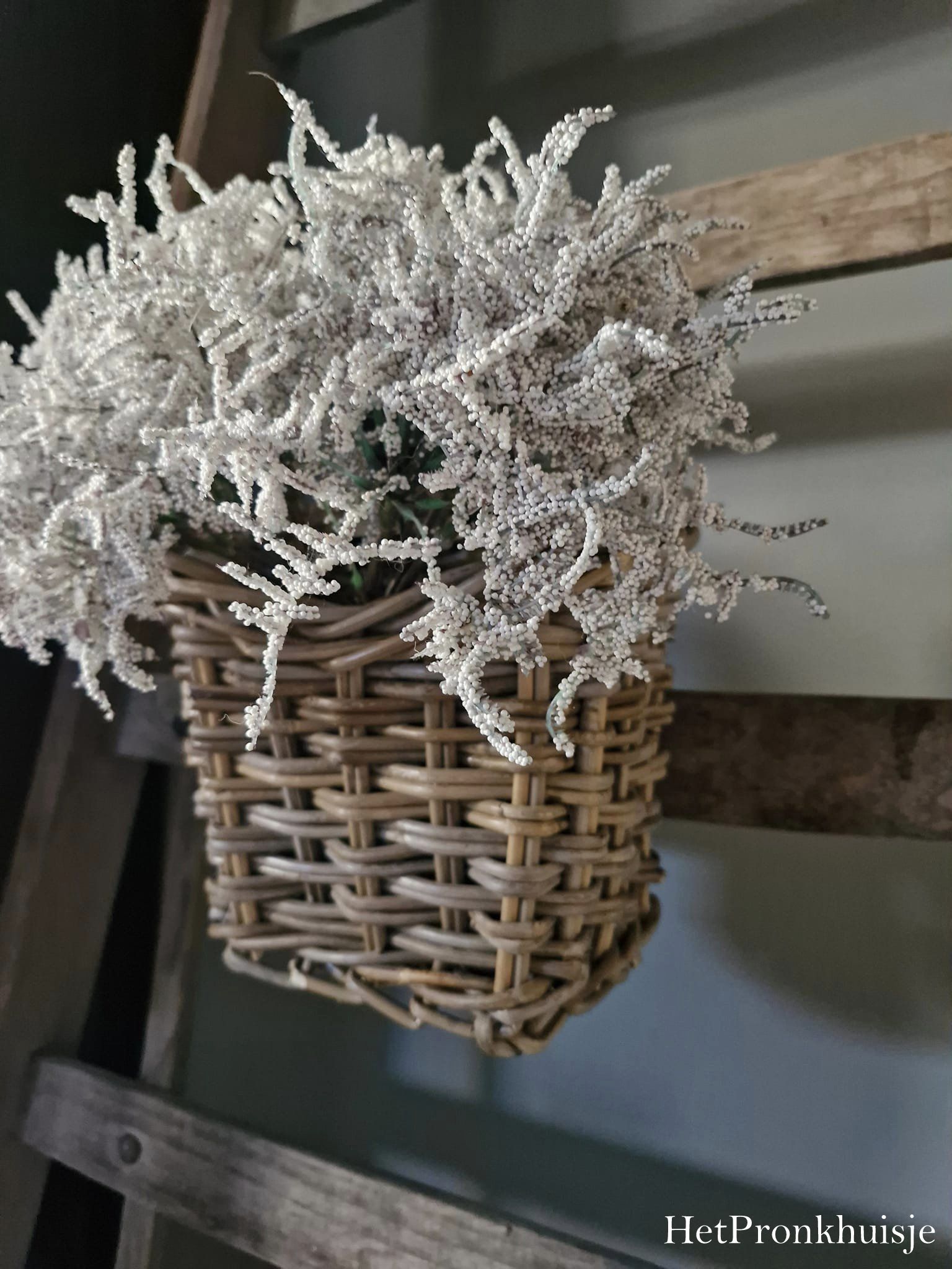Rotan mand met oog