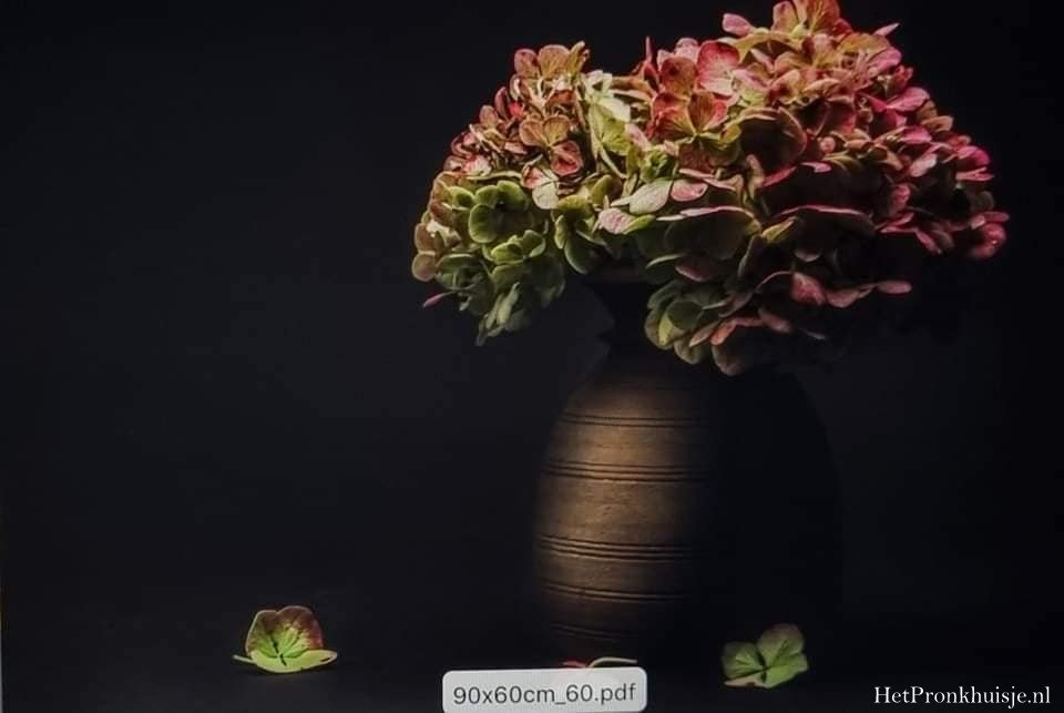 Spatscherm. Hortensia in kruik