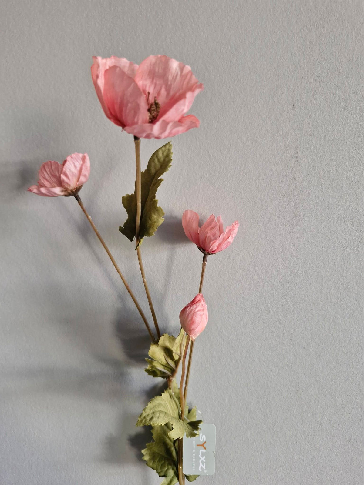 Sylxz. Poppy autumn. Klaproos licht roze