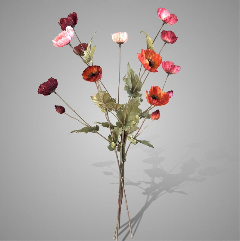 Sylxz. Poppy autumn. Klaproos donker roze