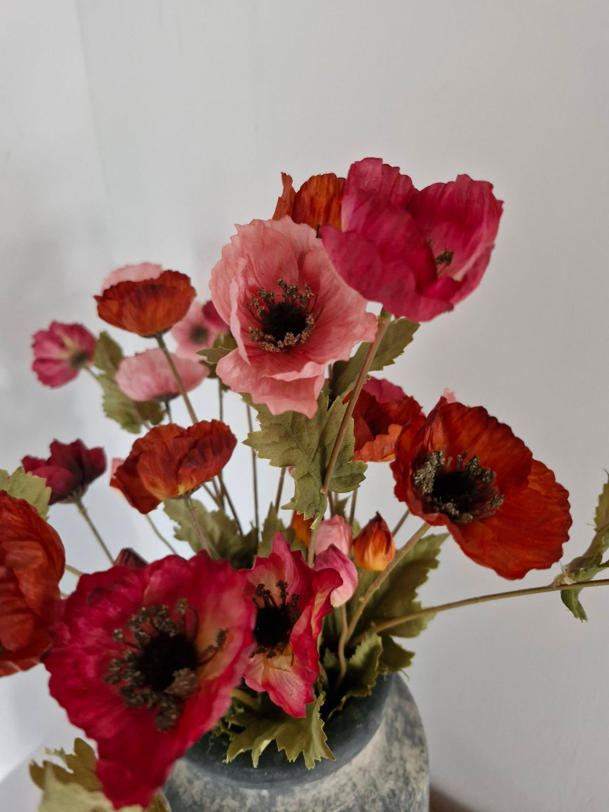 Sylxz. Poppy autumn. Klaproos rood
