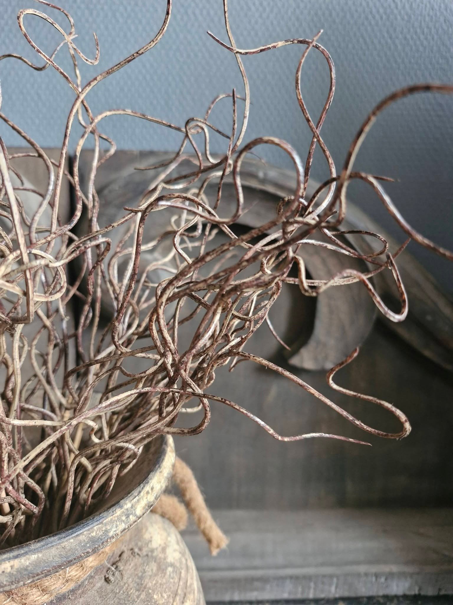 Sylxz. Twig bush brown