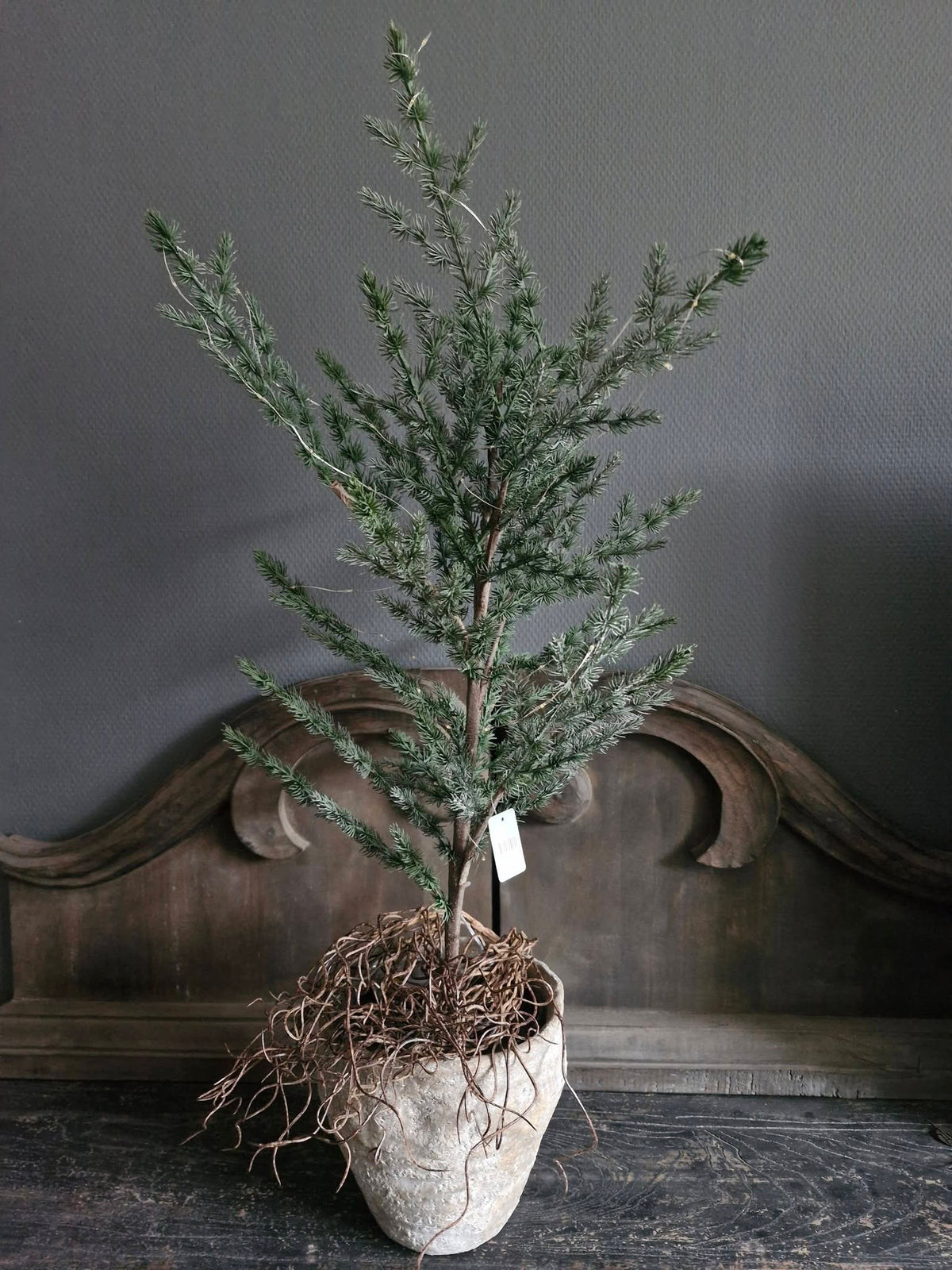 Sylxz Tree Ceder Green Grey – ca. 80 cm