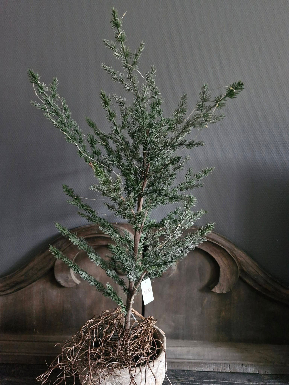 Sylxz Tree Ceder Green Grey – ca. 80 cm