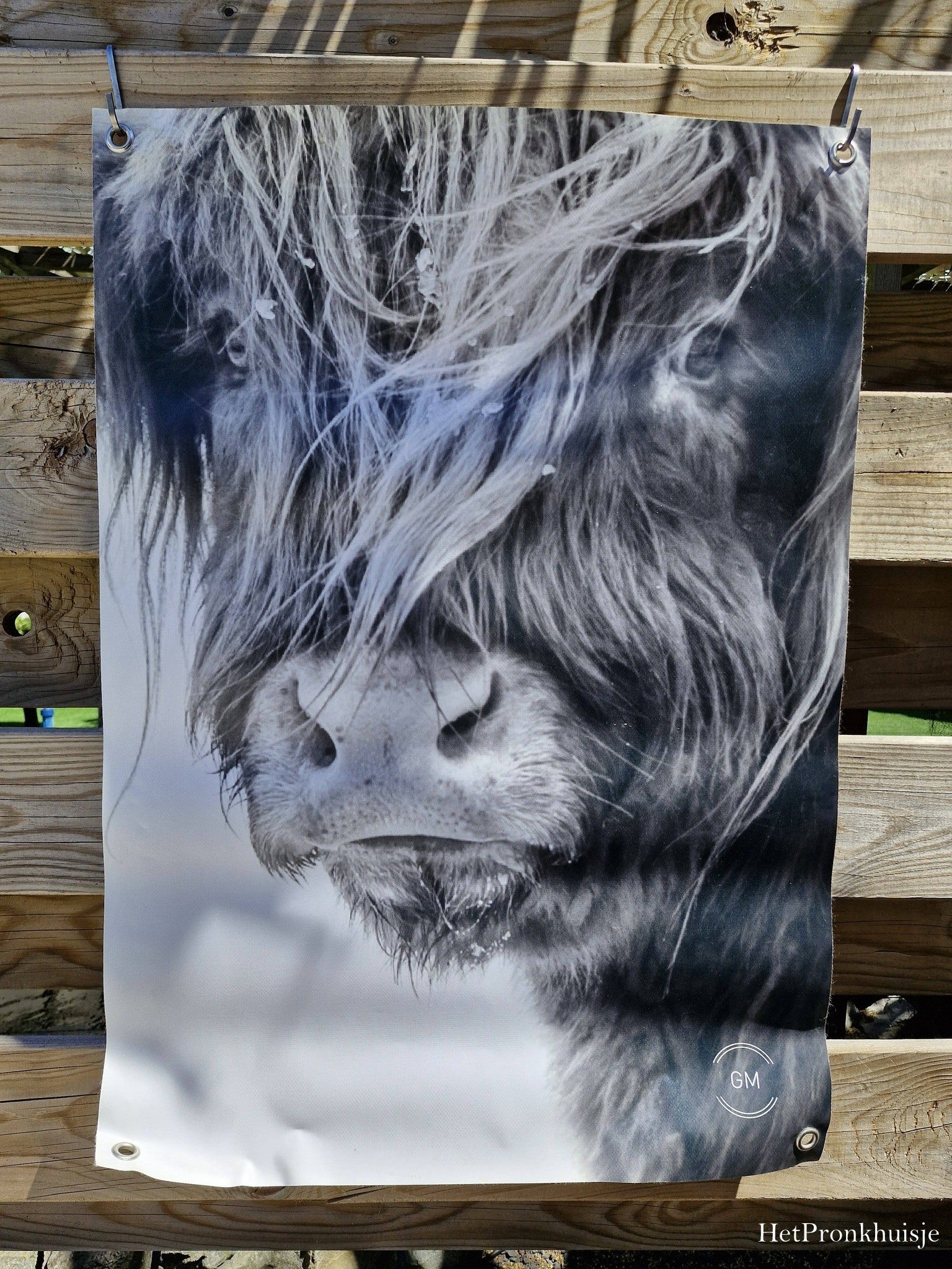 Tuinposter. Kop hooglander