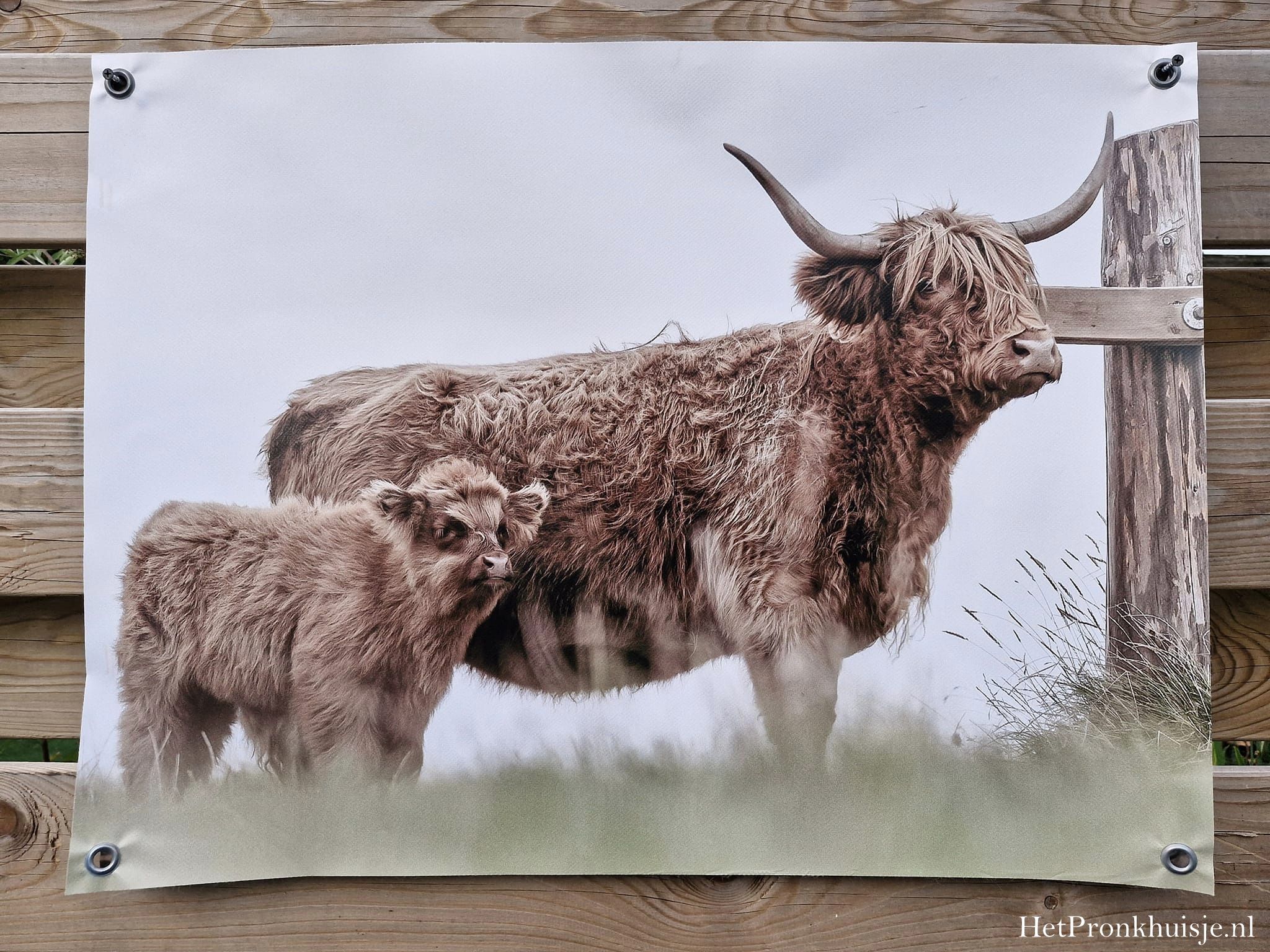 Tuinposter. Nr 271