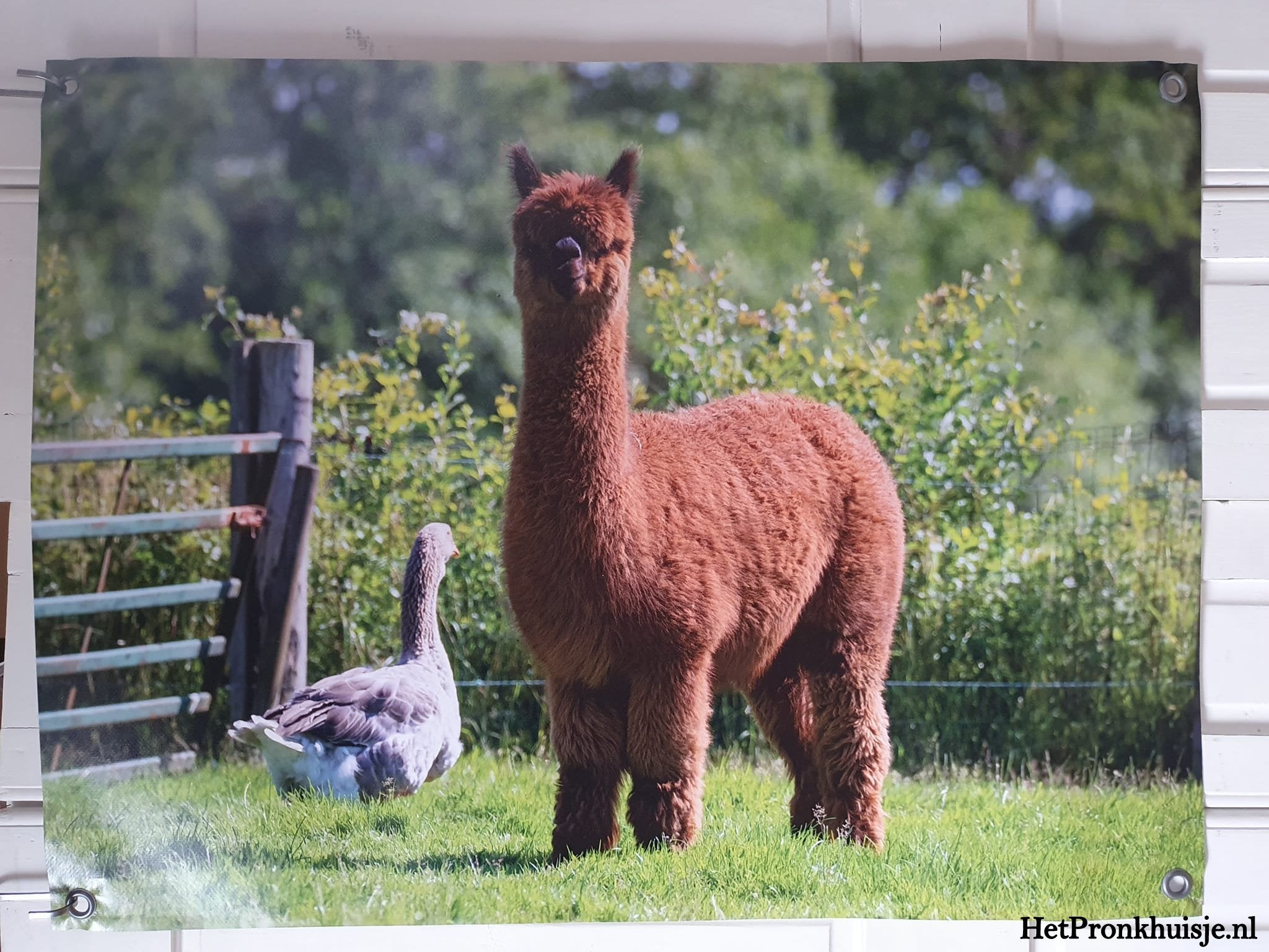 Tuinposter. Nr 89