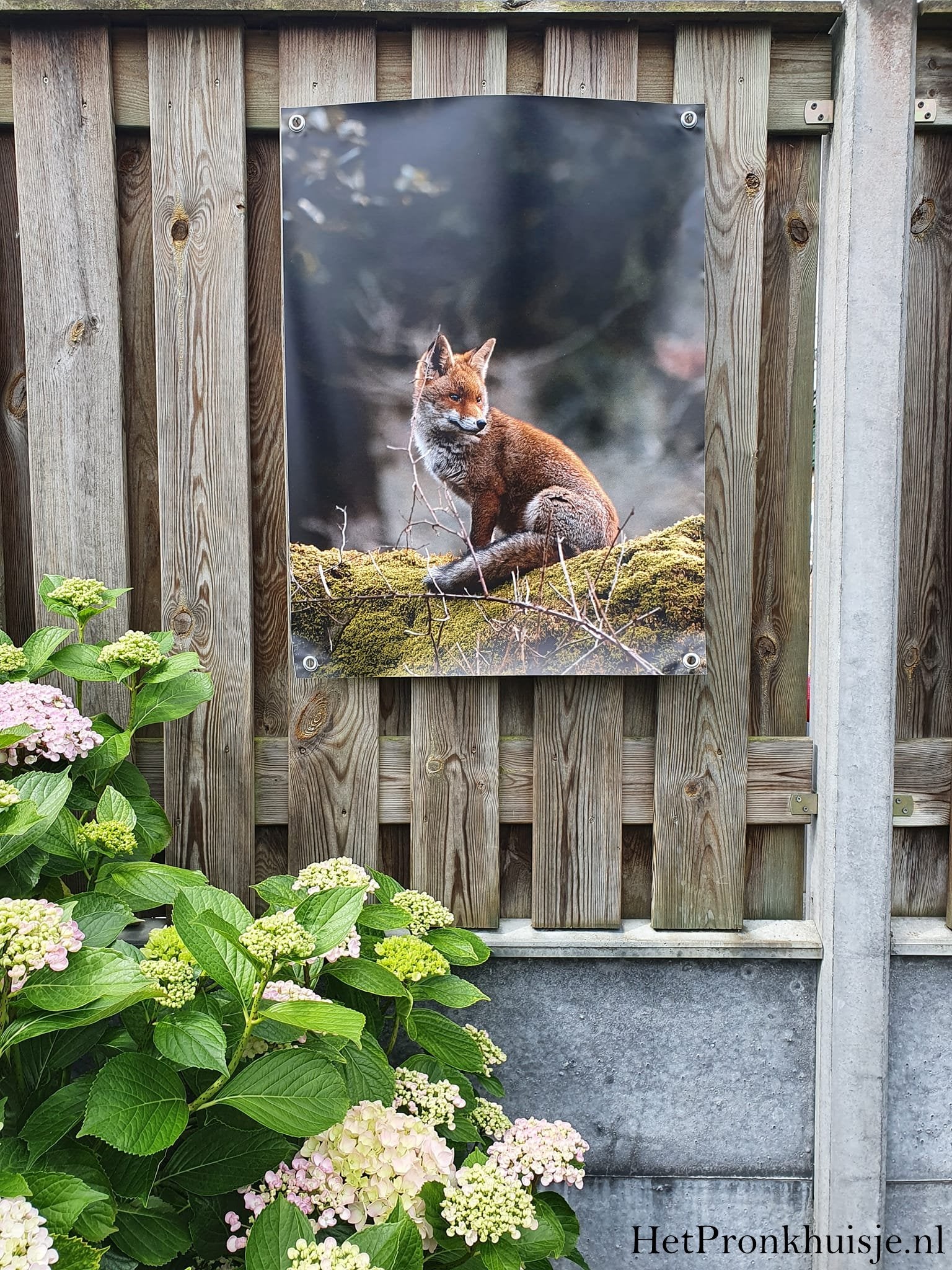 Tuinposter. Vos