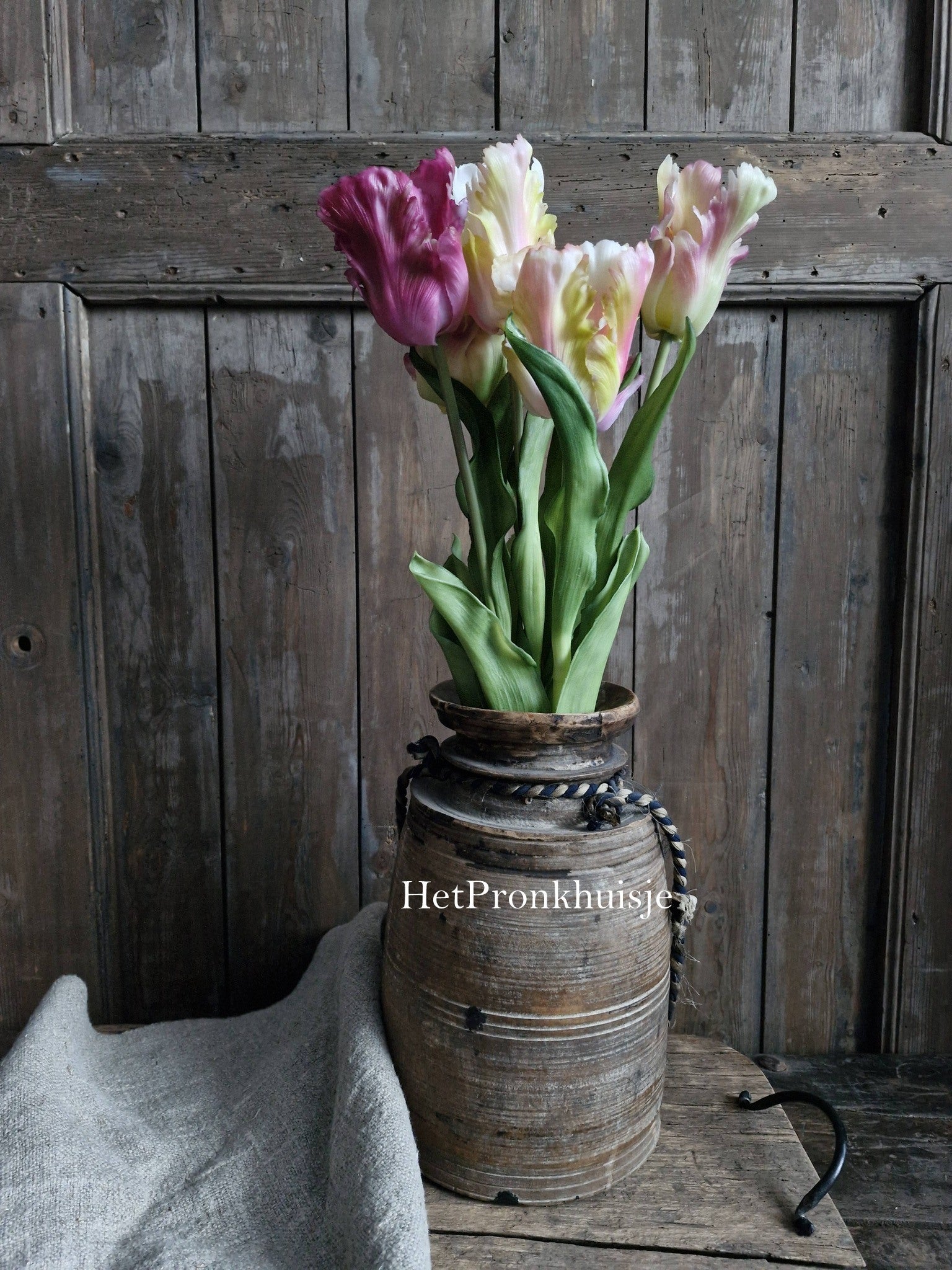 Tulp. Parrot. Mix roze paars