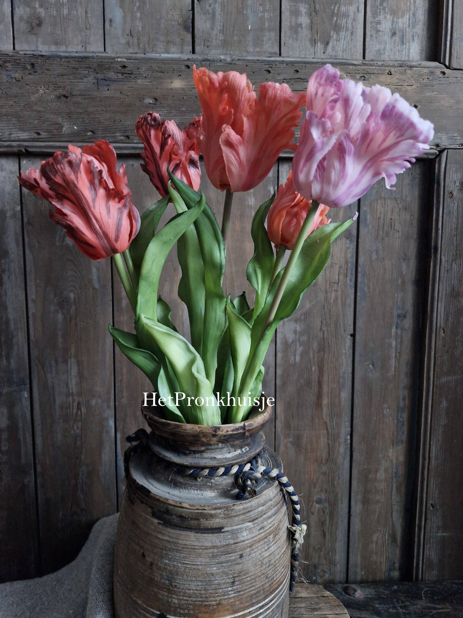 Tulp. Parrot. Mix roze