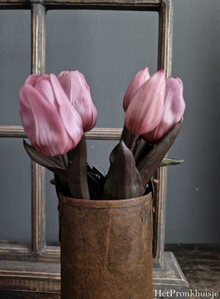 Tulp. Roze. 5 Korte stelen
