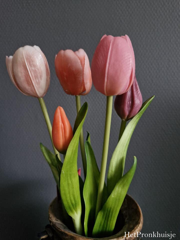 Tulpen. Mix beauty. Bos 5 stelen