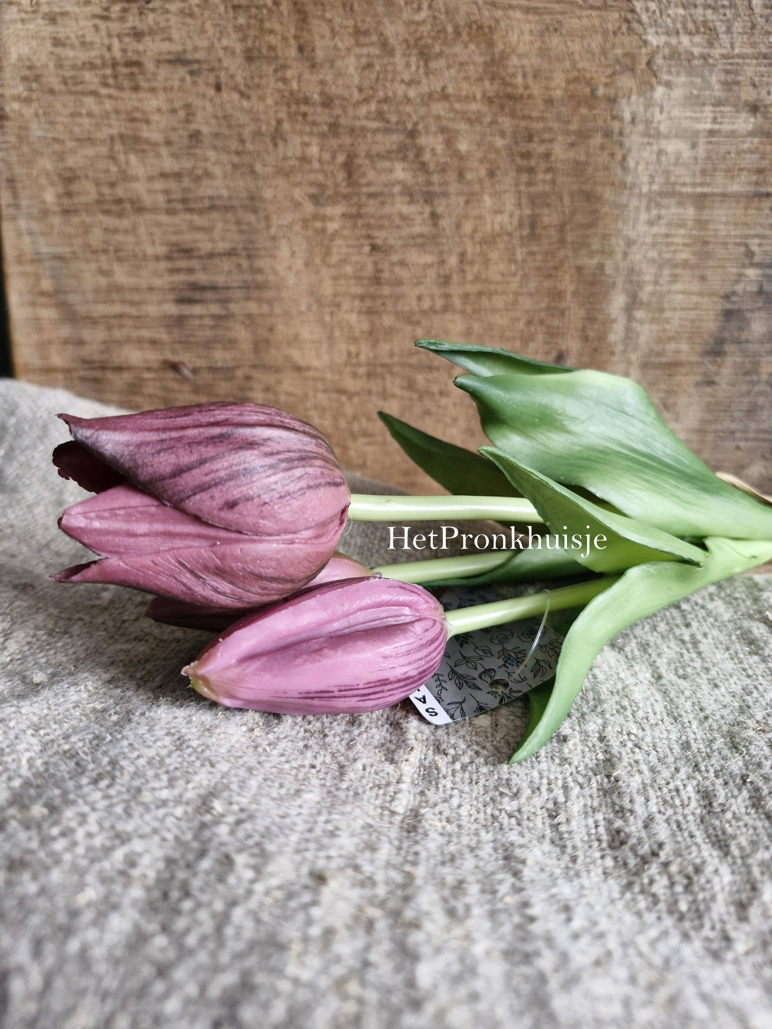 Tulpen. Paars. 3 Stelen