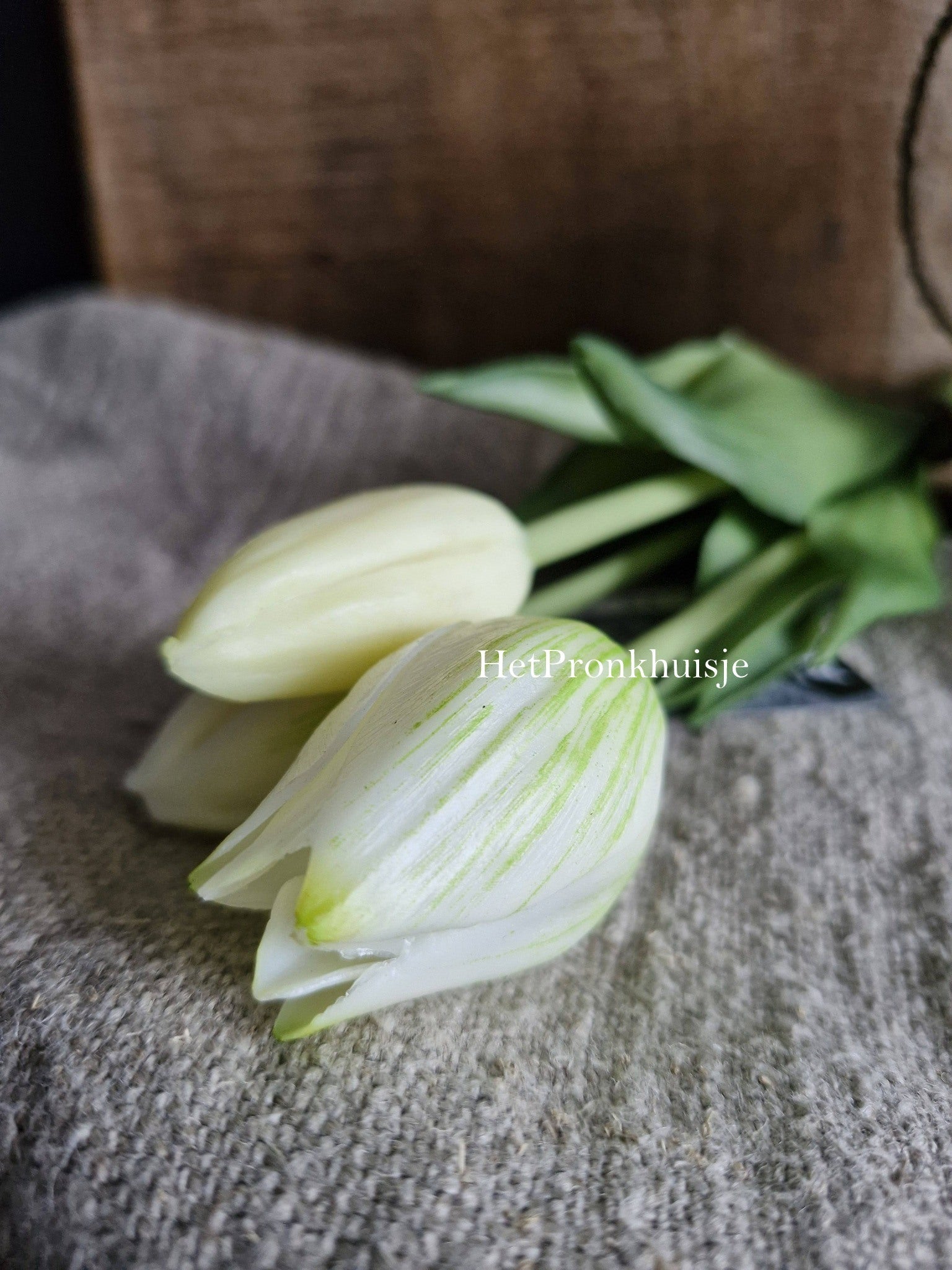 Tulpen. Wit. 3 Stelen