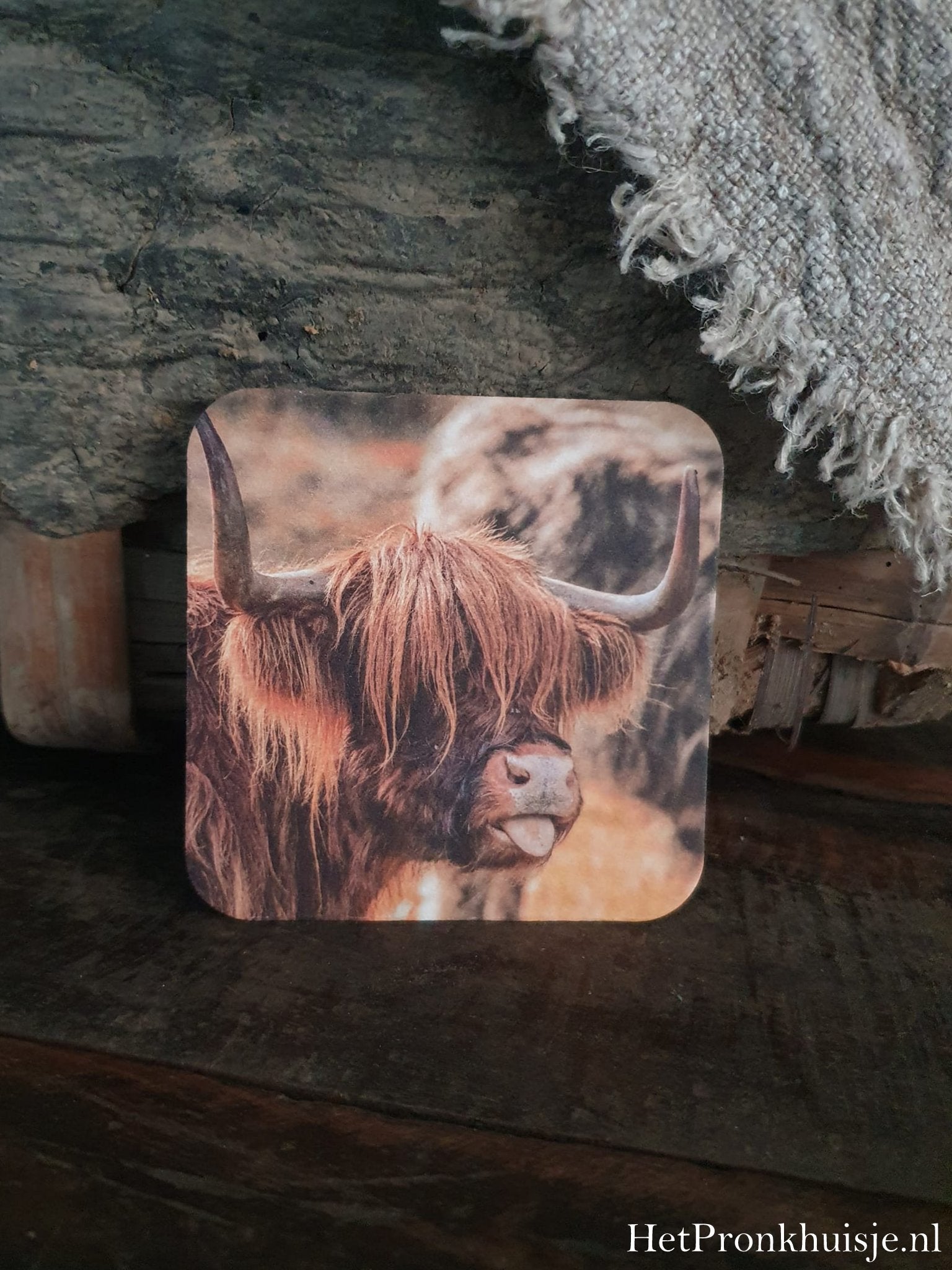 Viltje. Hooglander met tong.