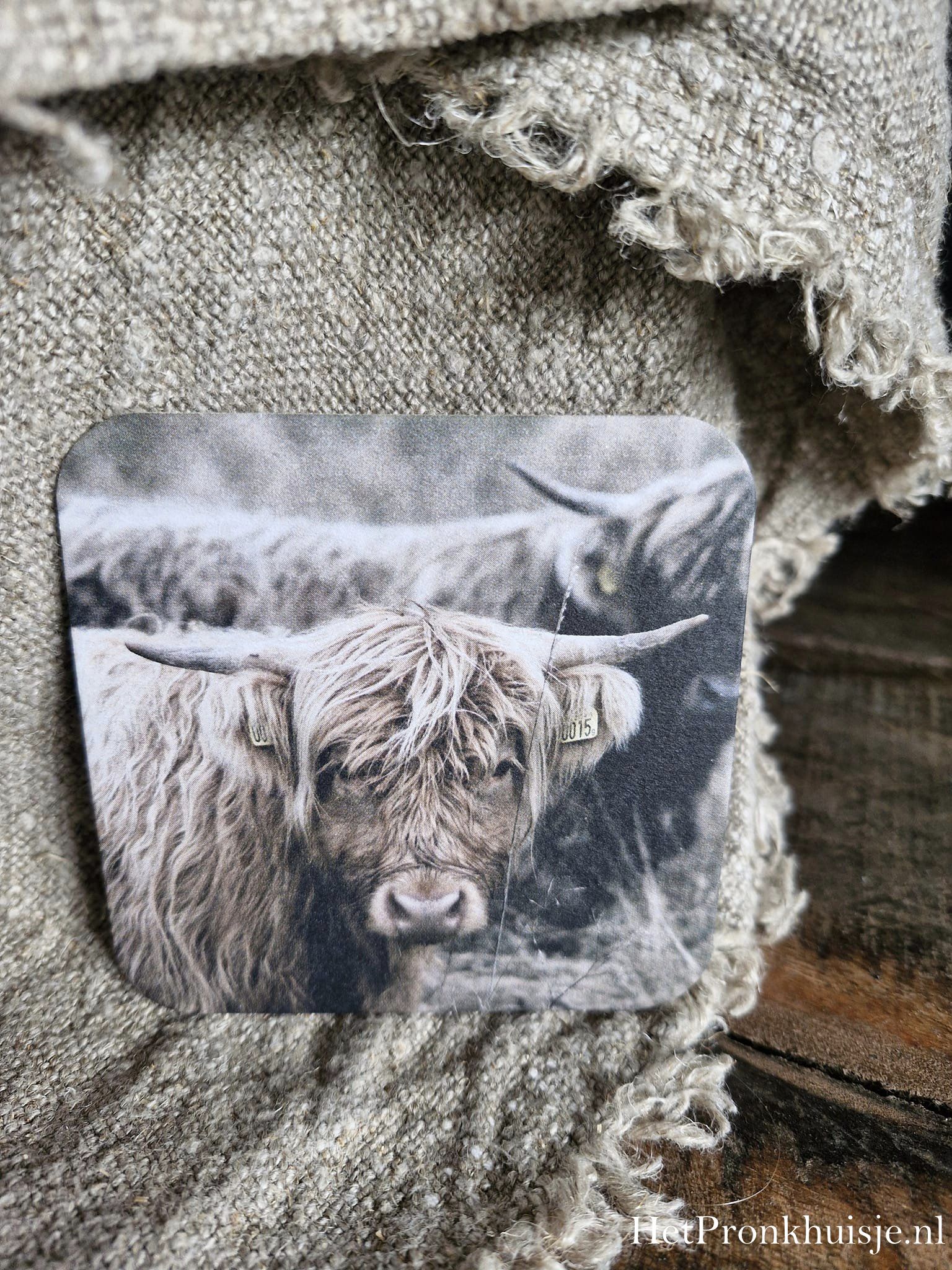 Viltje. Kalf hooglander