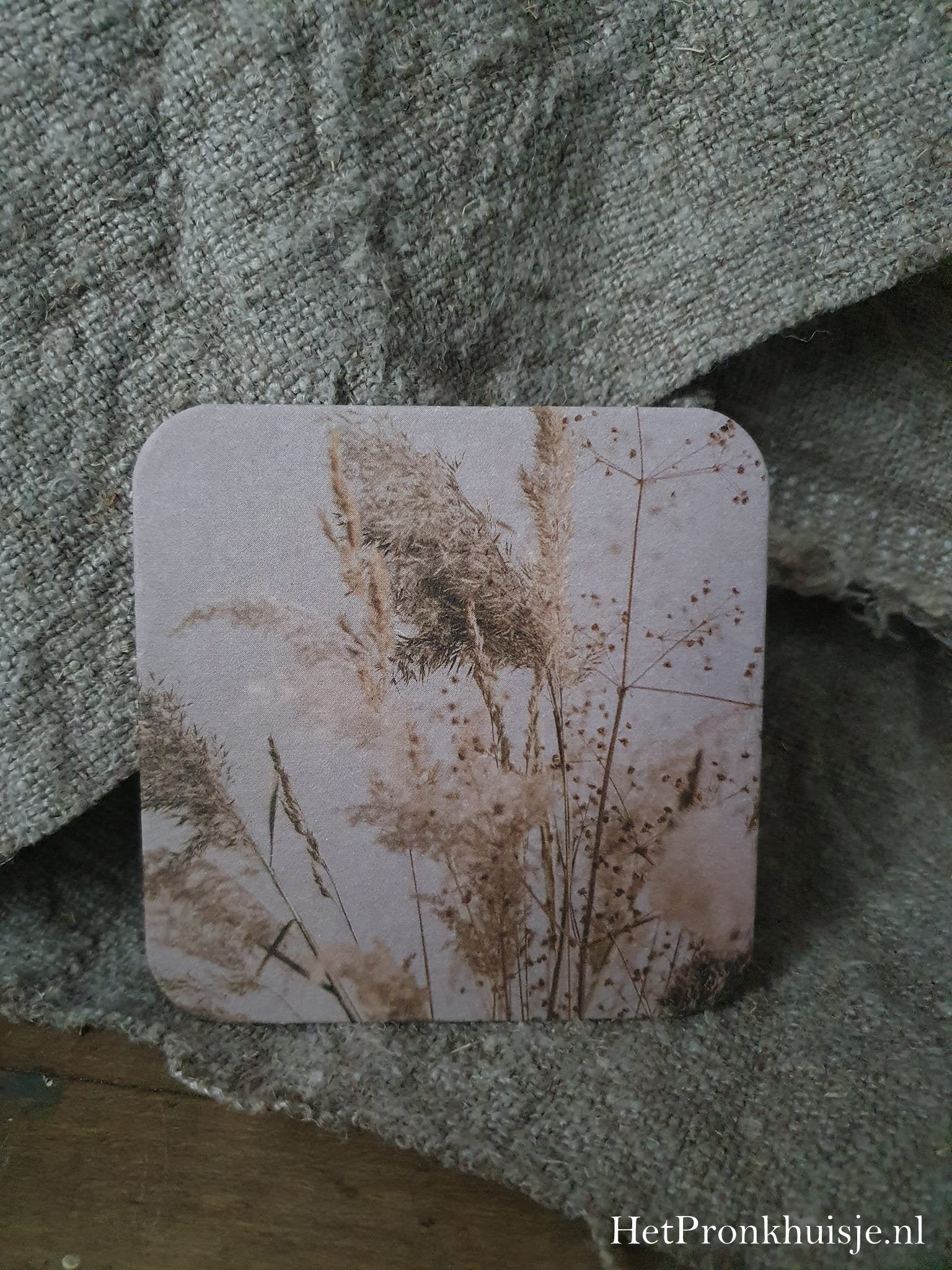 Viltje. Pampas