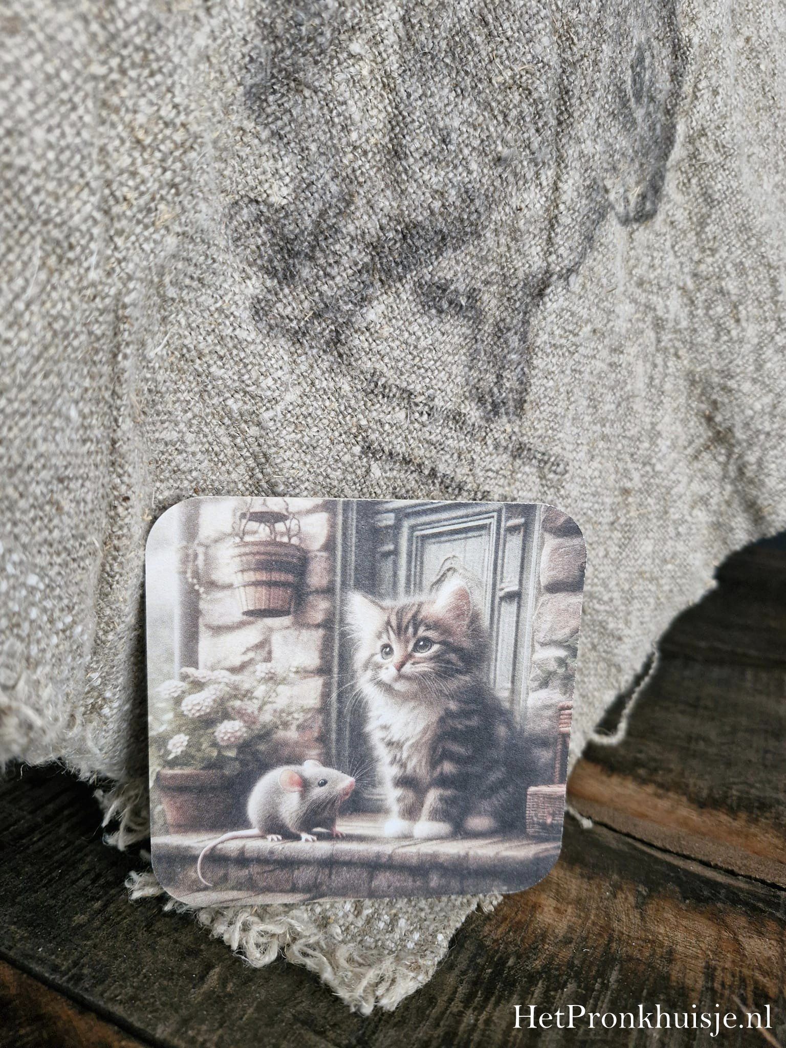 Viltje. Poes met muis