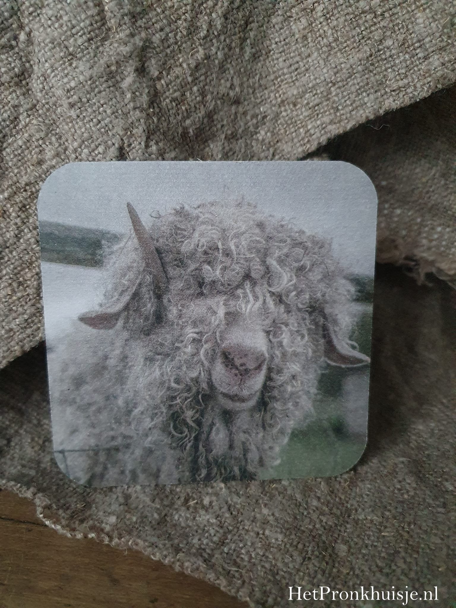 Viltje. Schaap krul