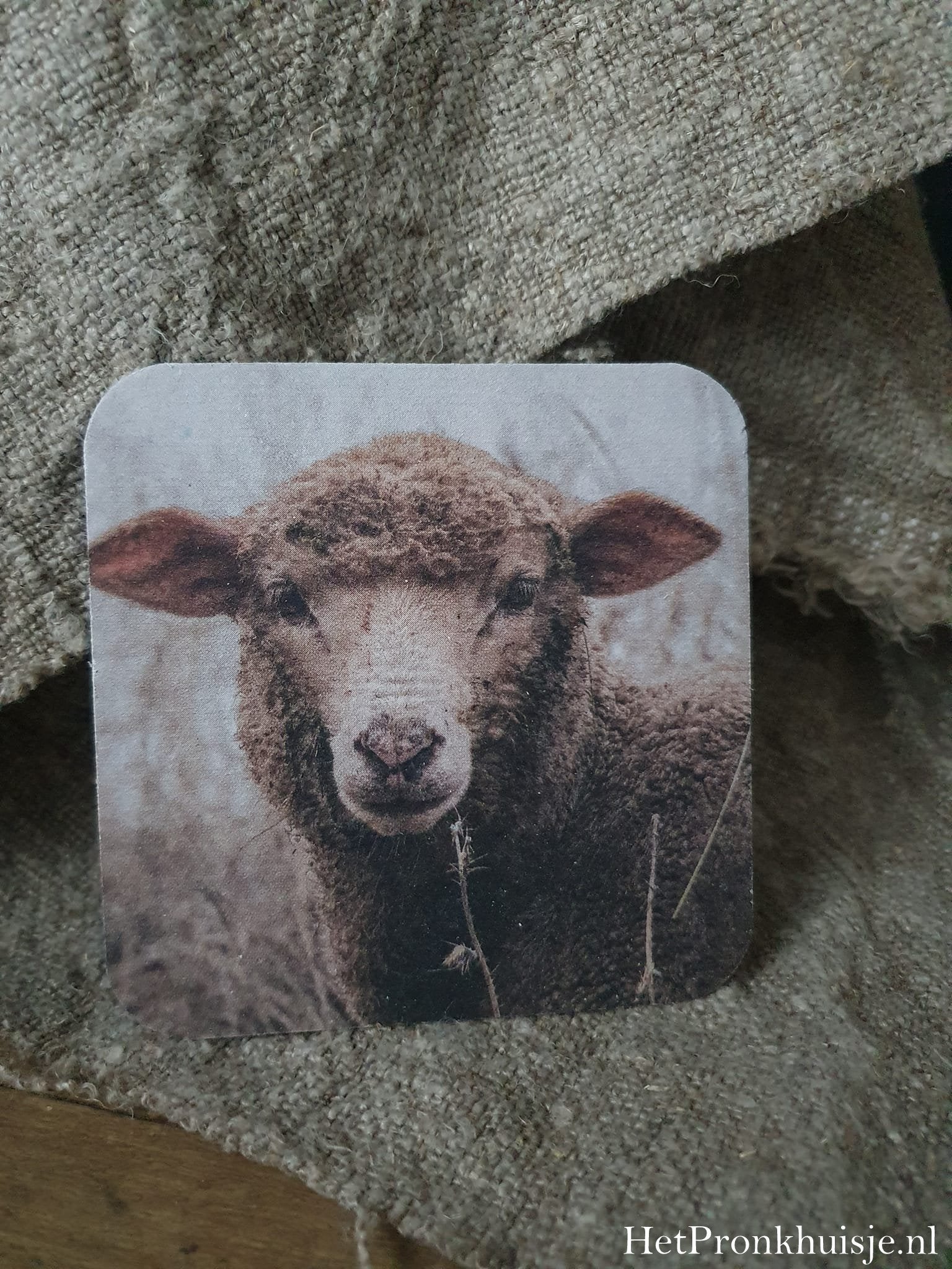 Viltje. Schaap nr 1