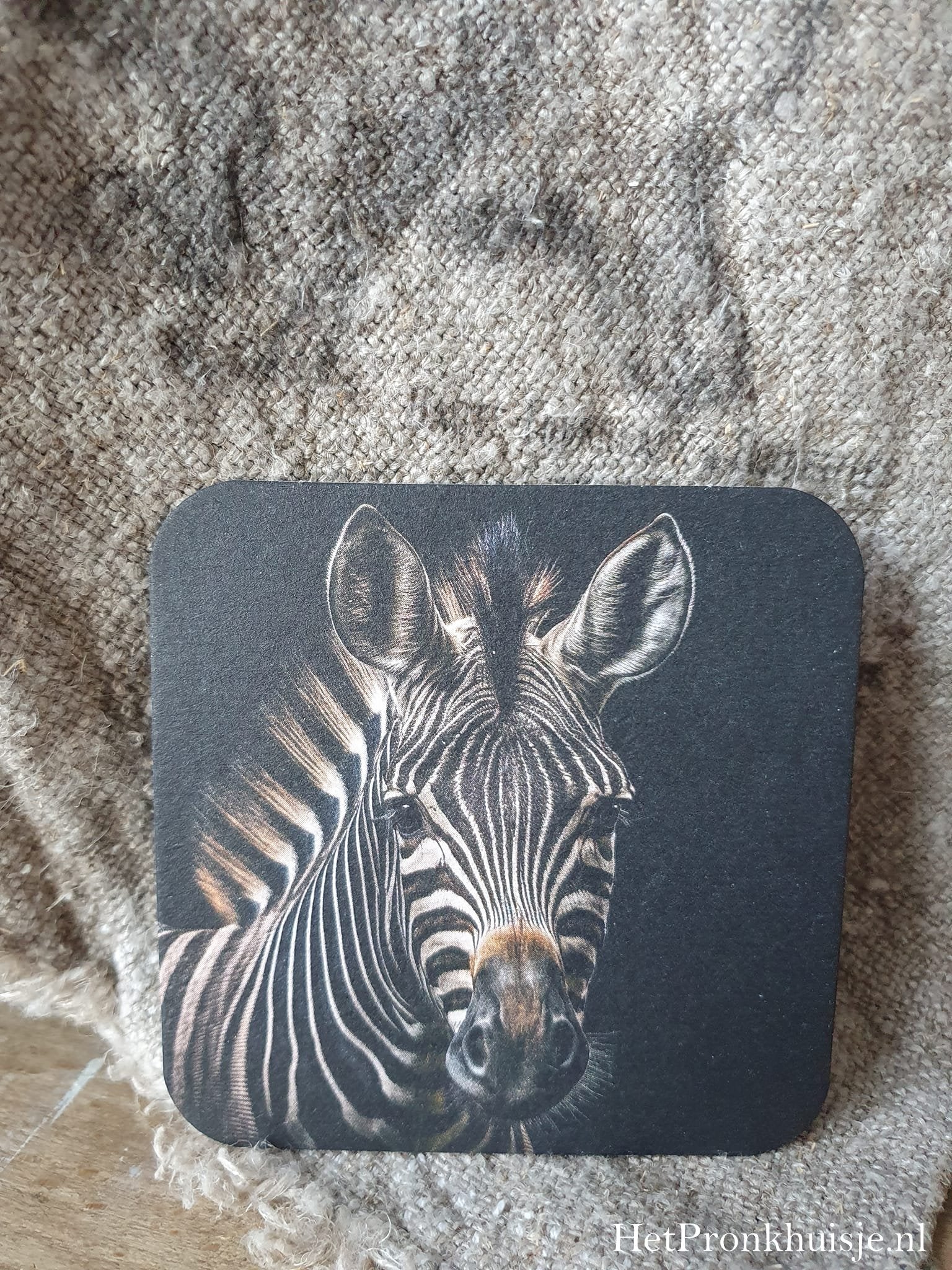 Viltje. Zebra