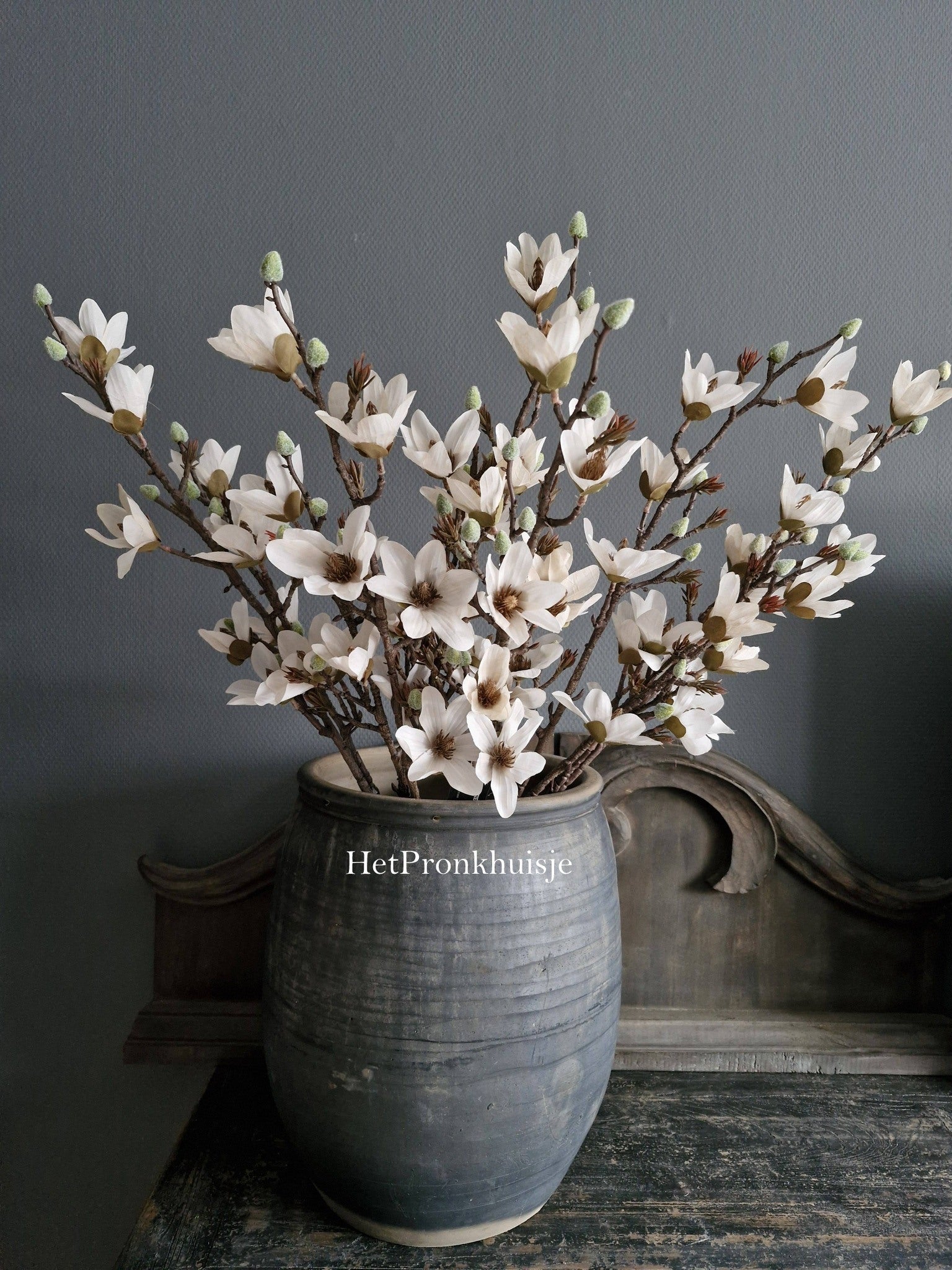Volle Magnolia tak. Wit