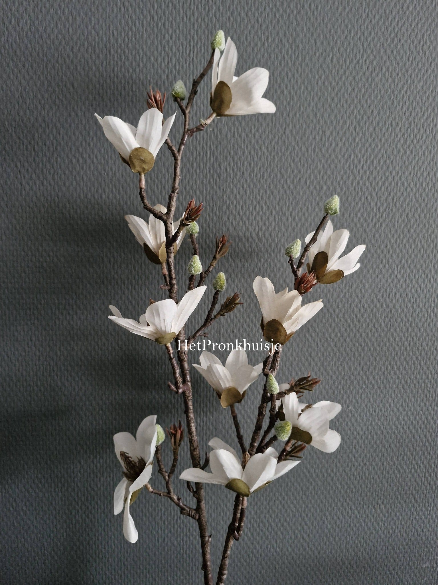 Volle Magnolia tak. Wit