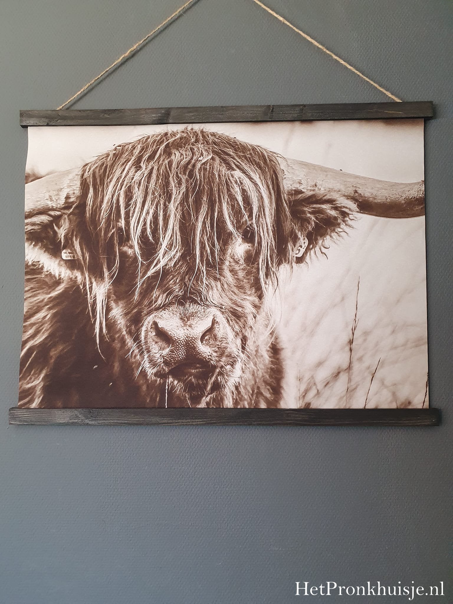 Wanddoek. Hooglander kop. Sepia 80x60