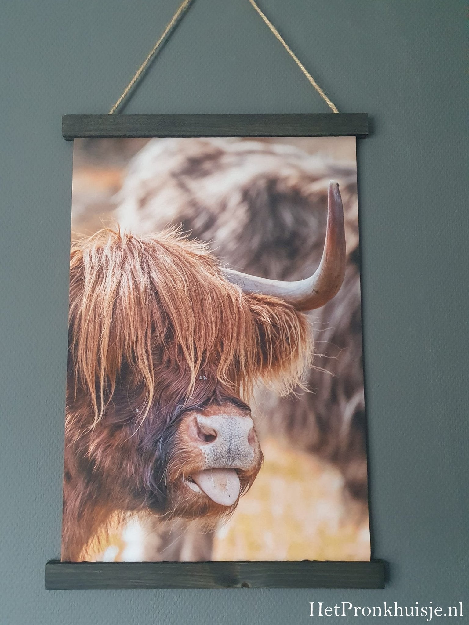 Wanddoek. Hooglander tong