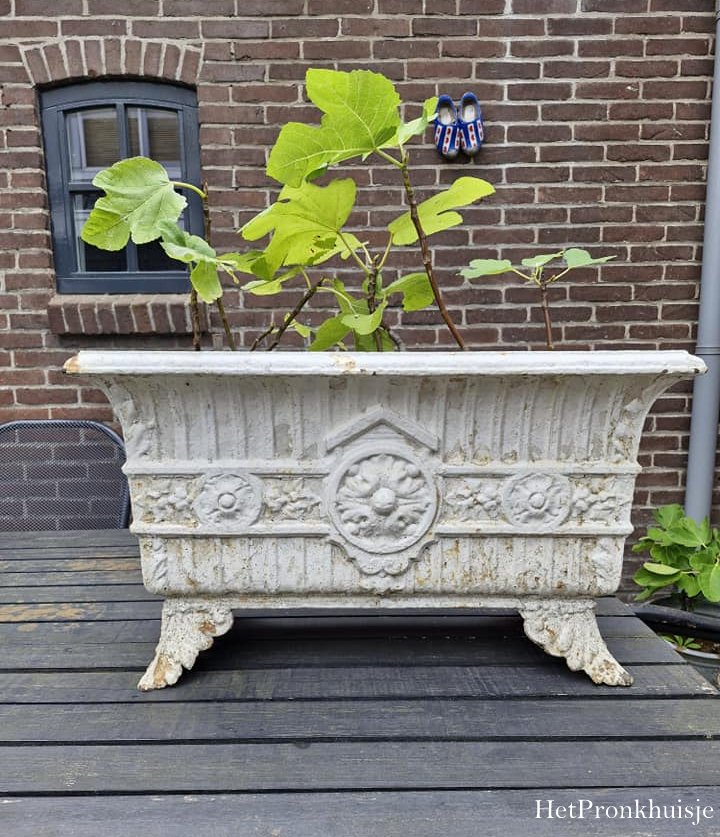 Gietijzeren jardiniere
