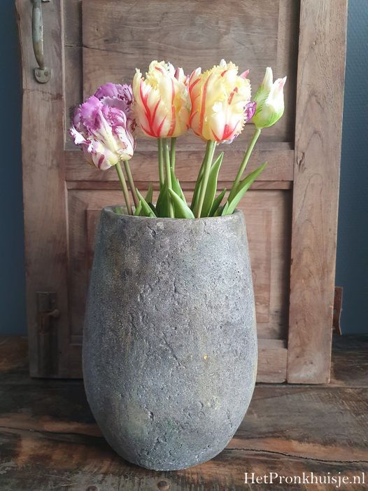 Tulpen