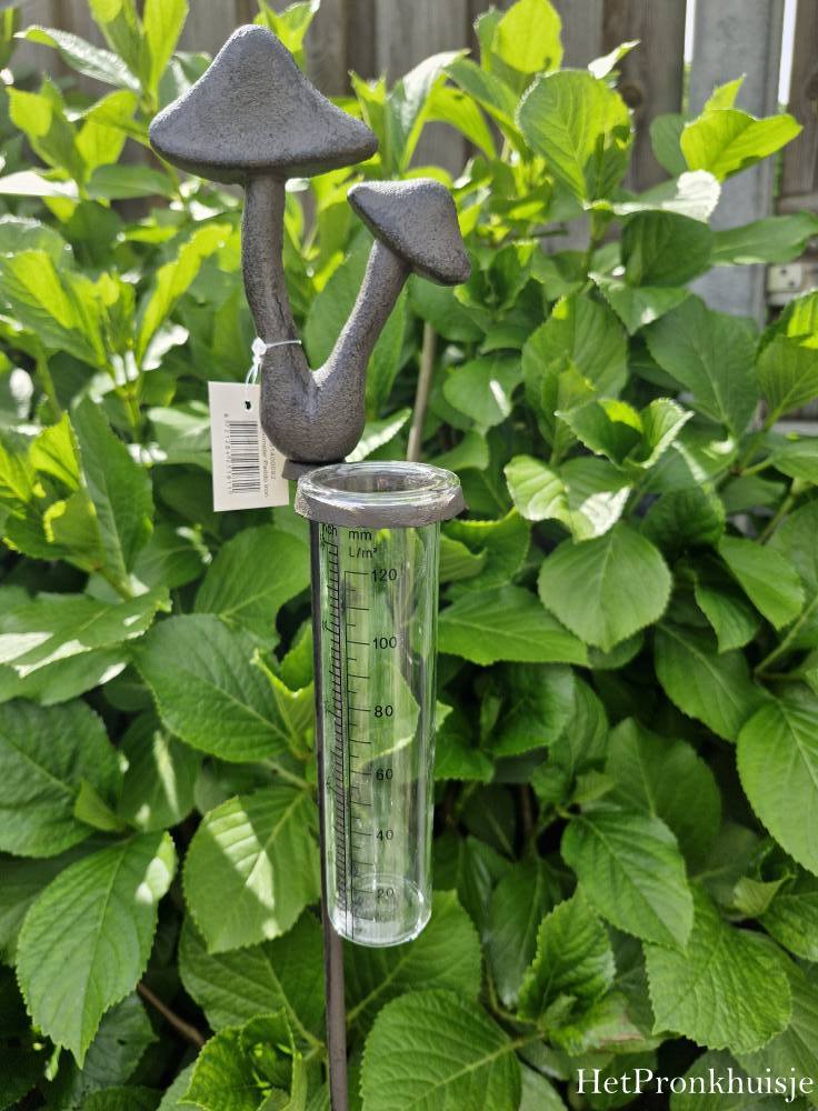 Regenmeter. Paddenstoel1