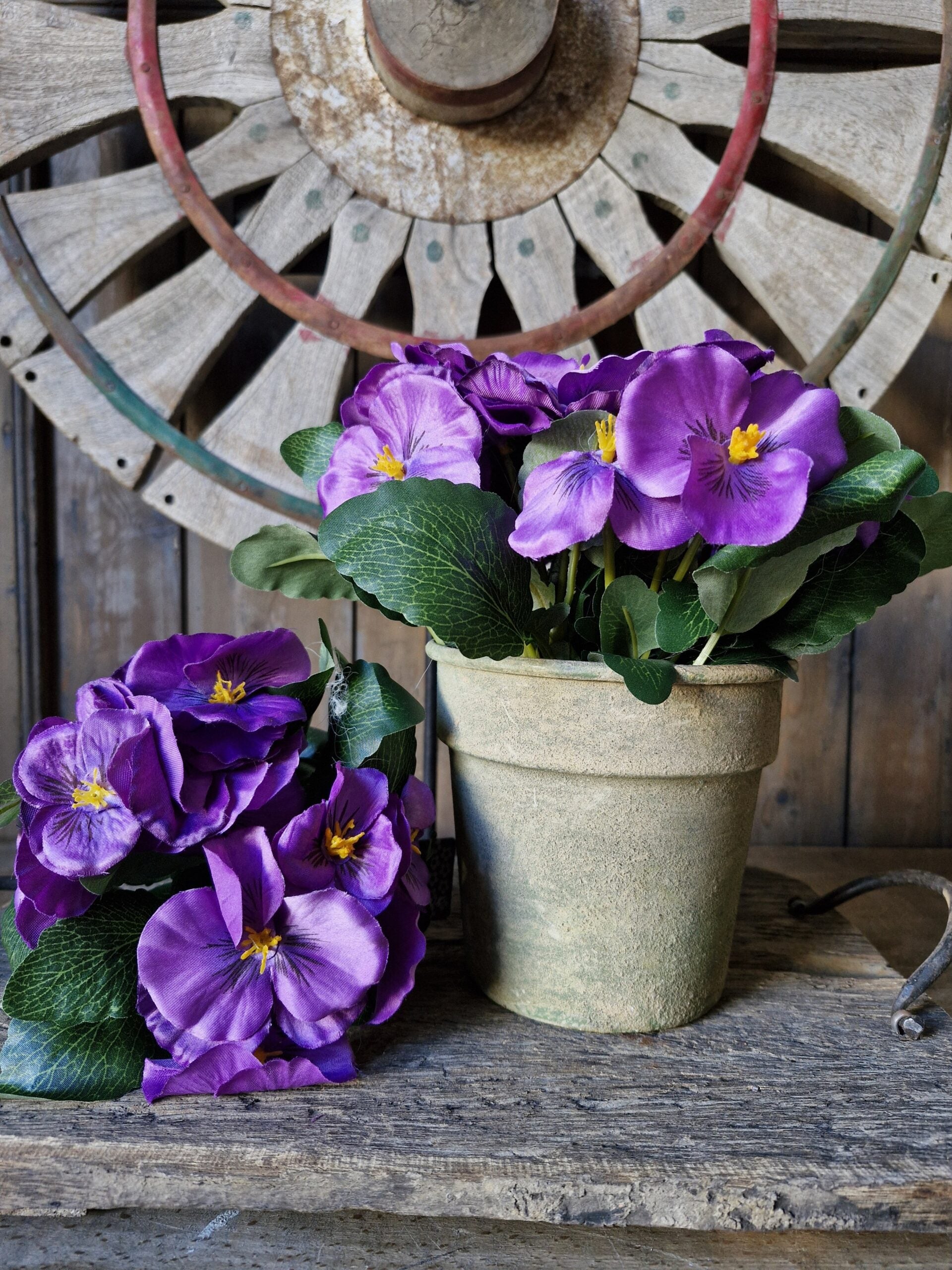 Viool purple 20cm