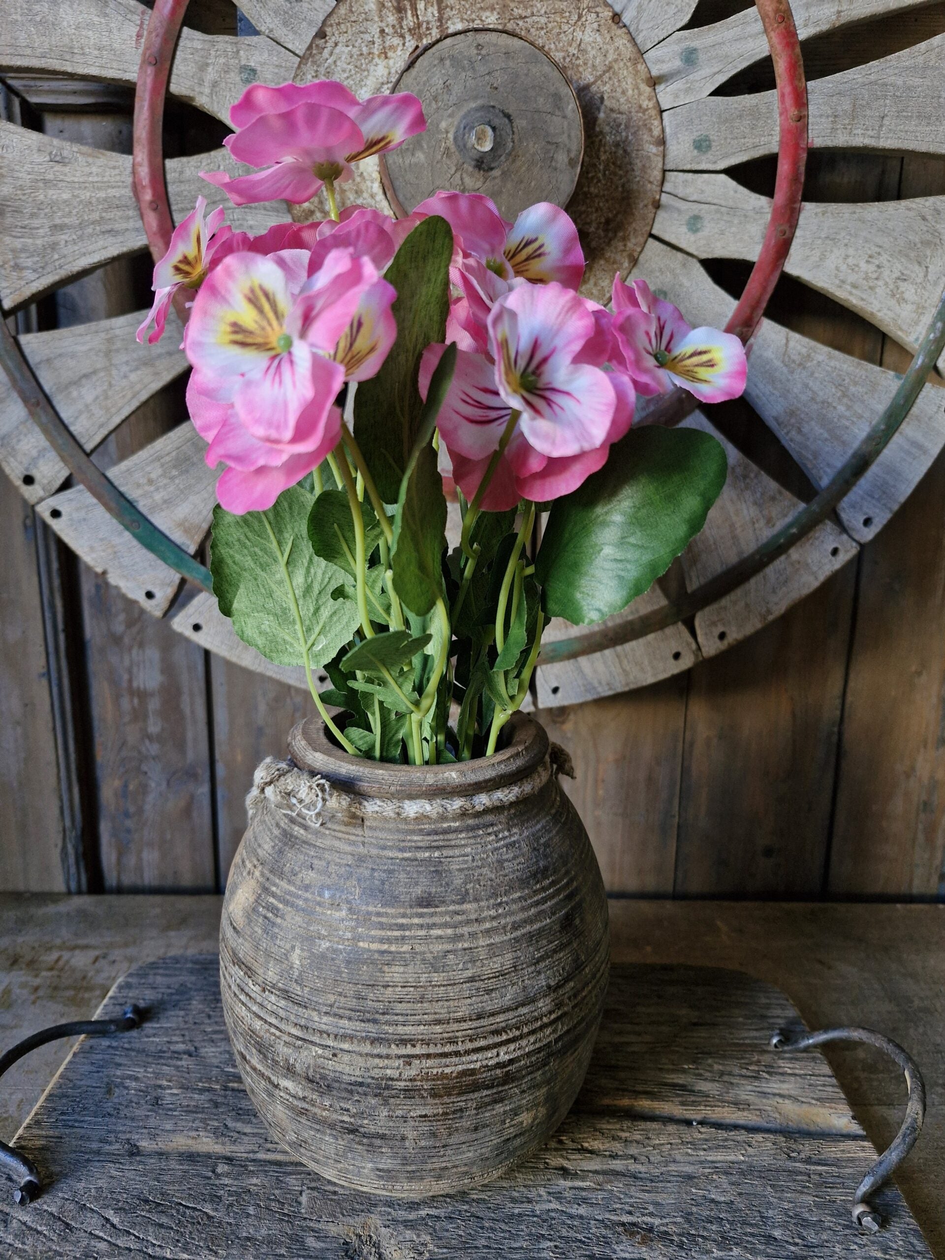 Viool bush pink 33cm