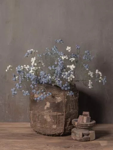 Tuinposter. Nr 285