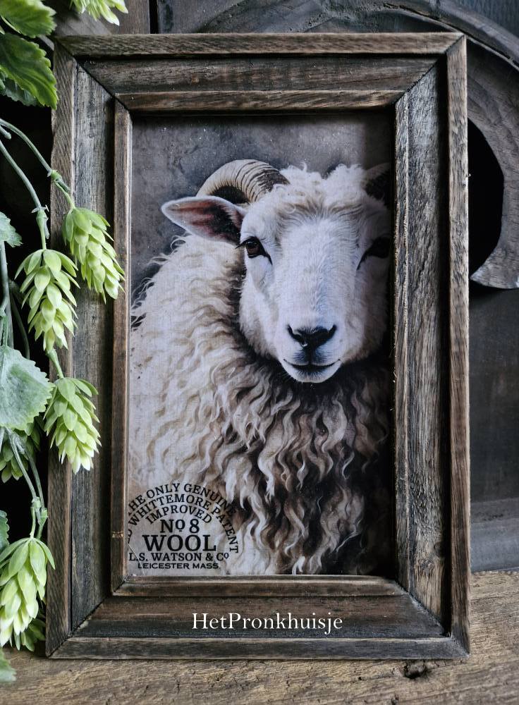Afbeelding in lijst. Schaap. 20x30cm