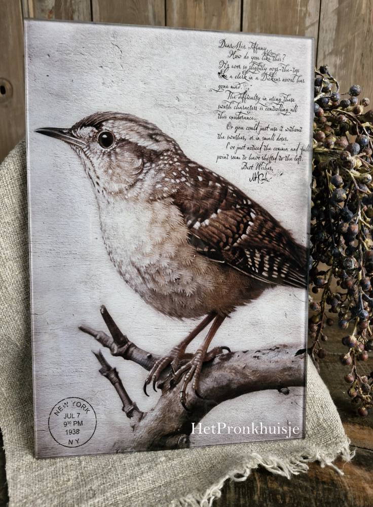Afbeelding op glas. Vogel