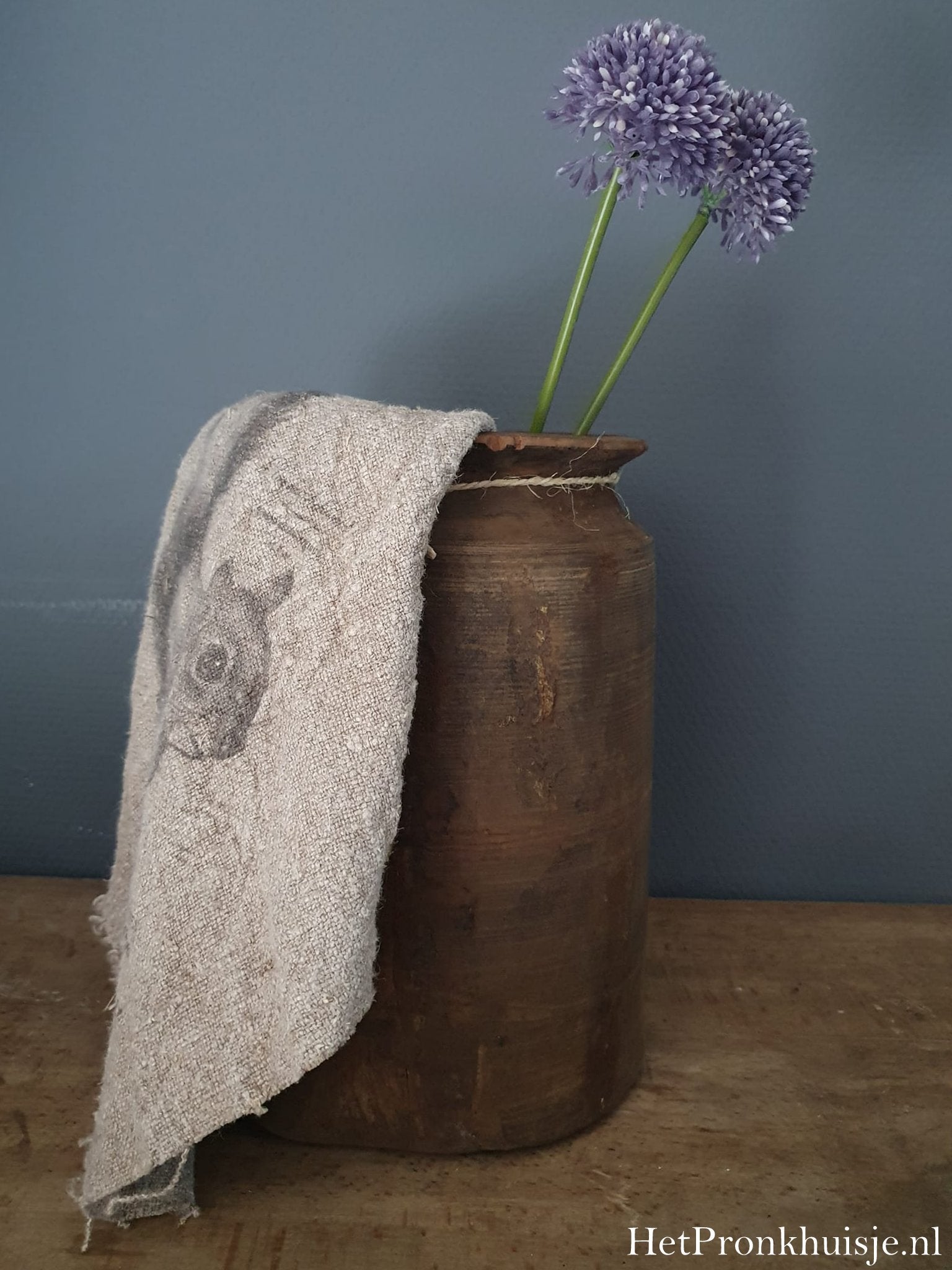 Allium. Paars