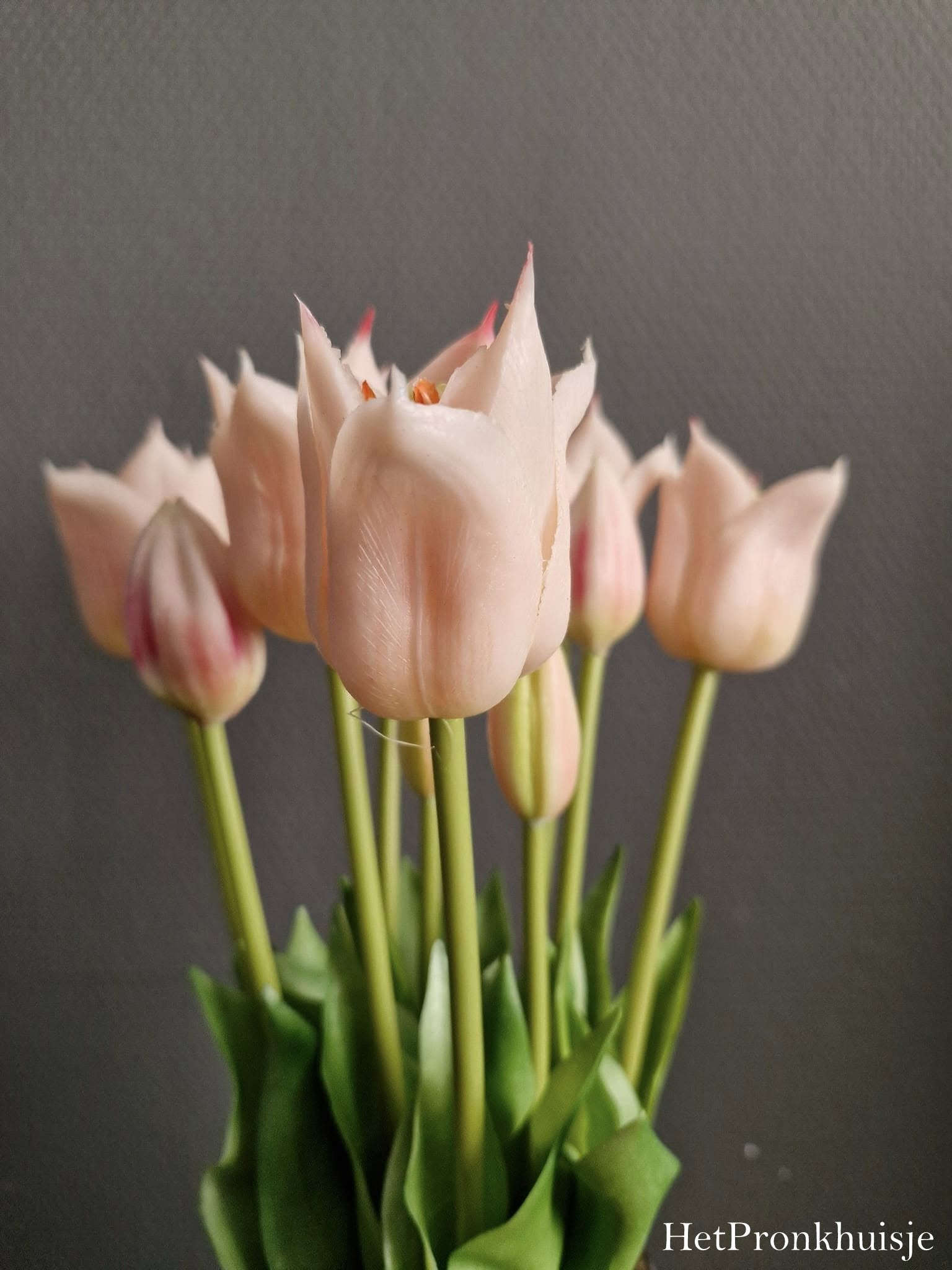 Bos tulpen. Licht roze. 5 stelen