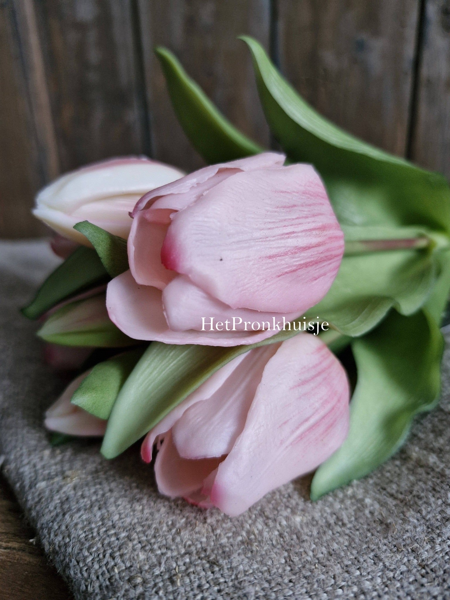Tulpen. Licht roze