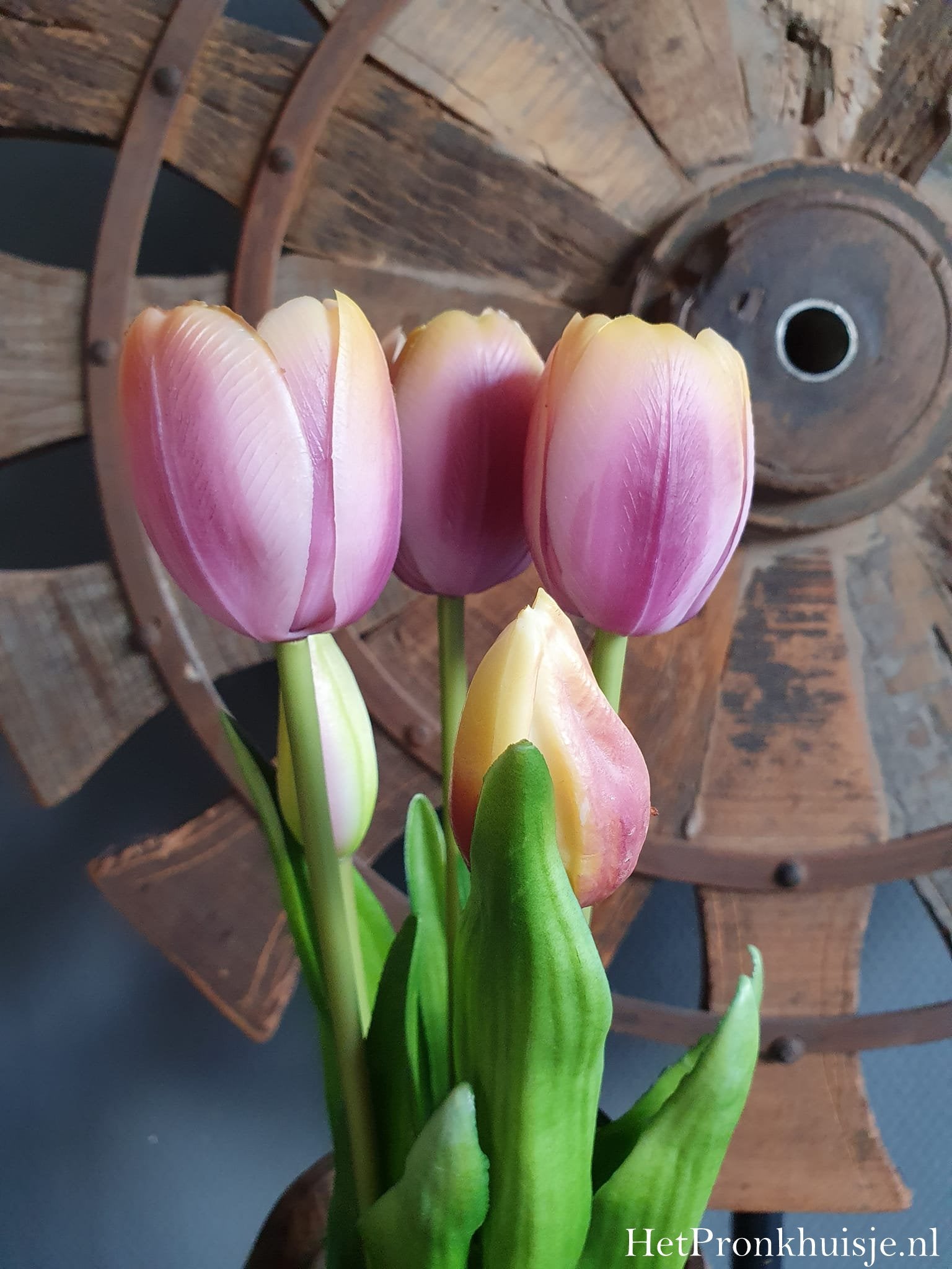Bos tulpen. Paars geel. 5 stelen