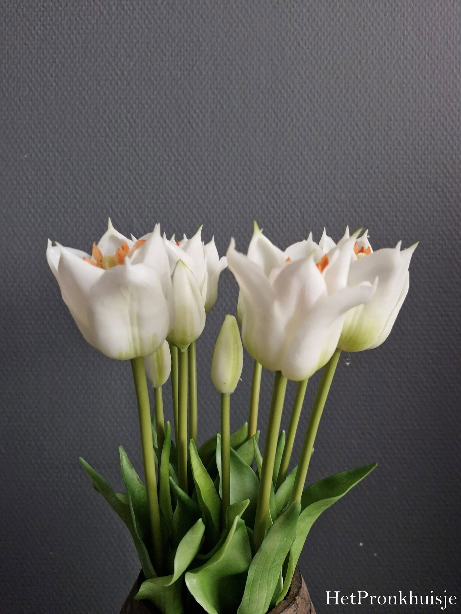 Bos tulpen. Wit. 5 stelen