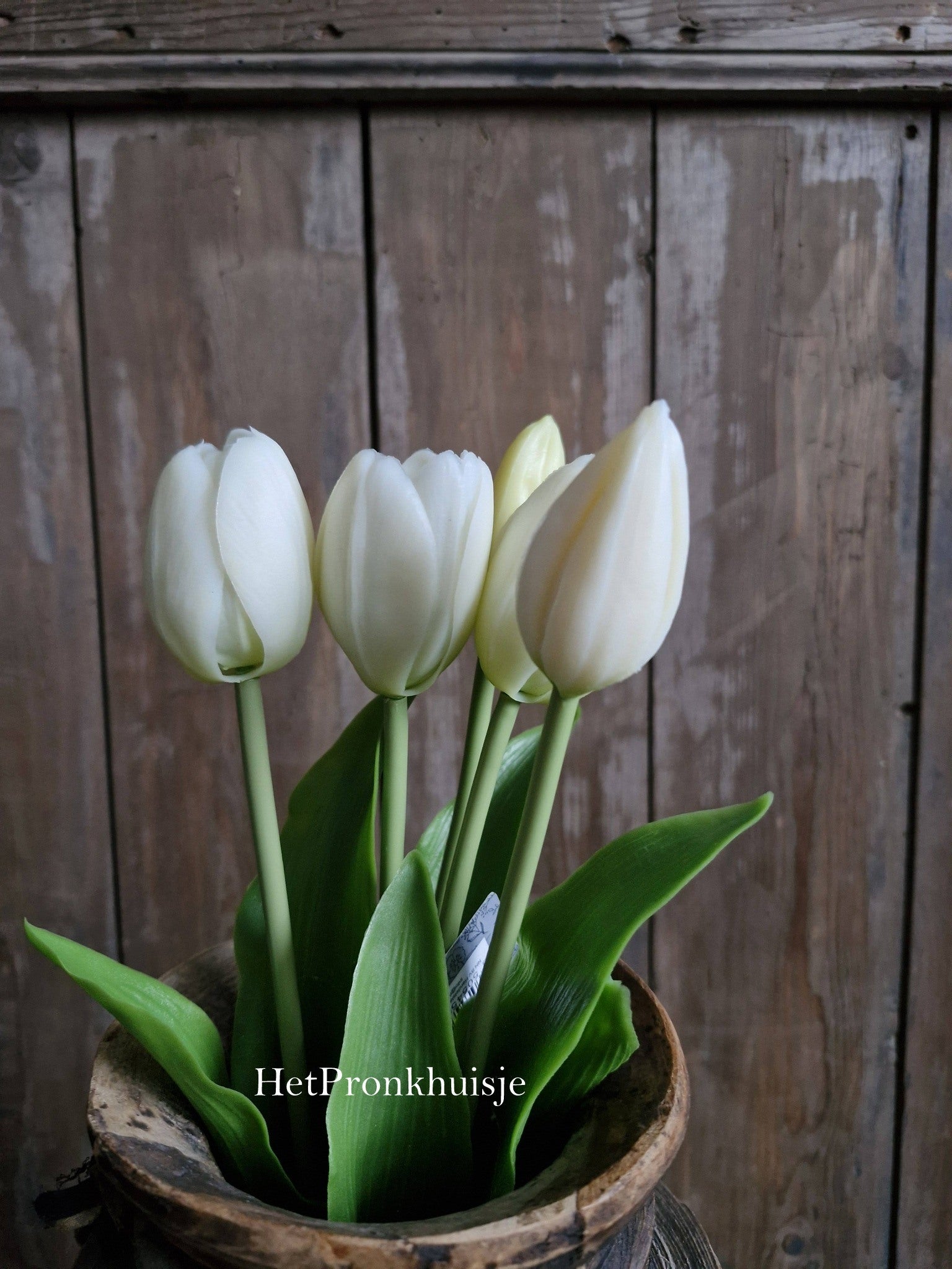 Bos tulpen. Wit. 5 stelen