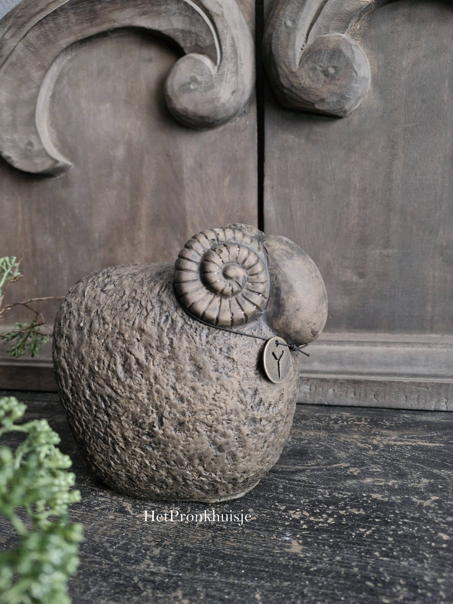 Brynxz Sheep with horn. Majestic brown