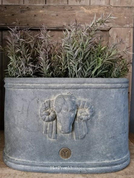 Brynxz ovale bloempot ram. Majestic vintage
