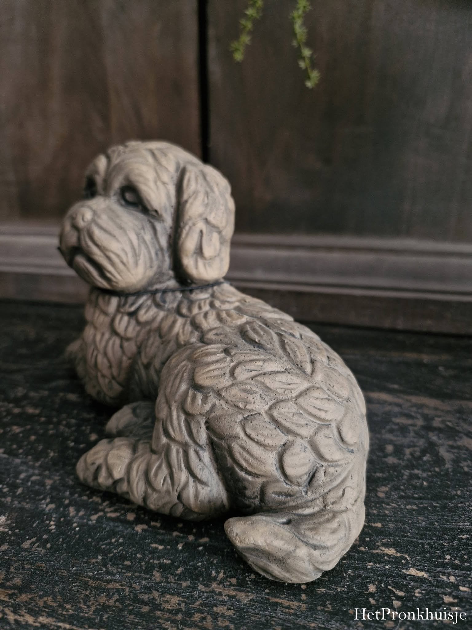 Brynxz. Lying dog. Majestic brown