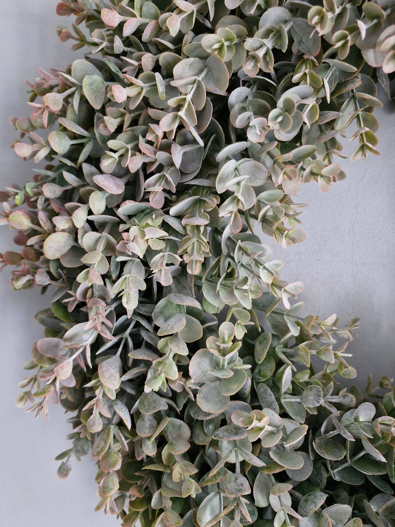 Brynxz. Eucalyptus Autumn krans