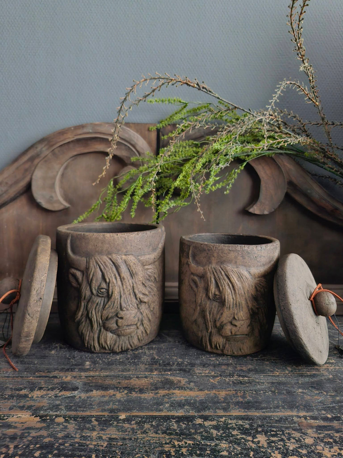 Brynxz. Pot en top. Scotty. Majestic Brown