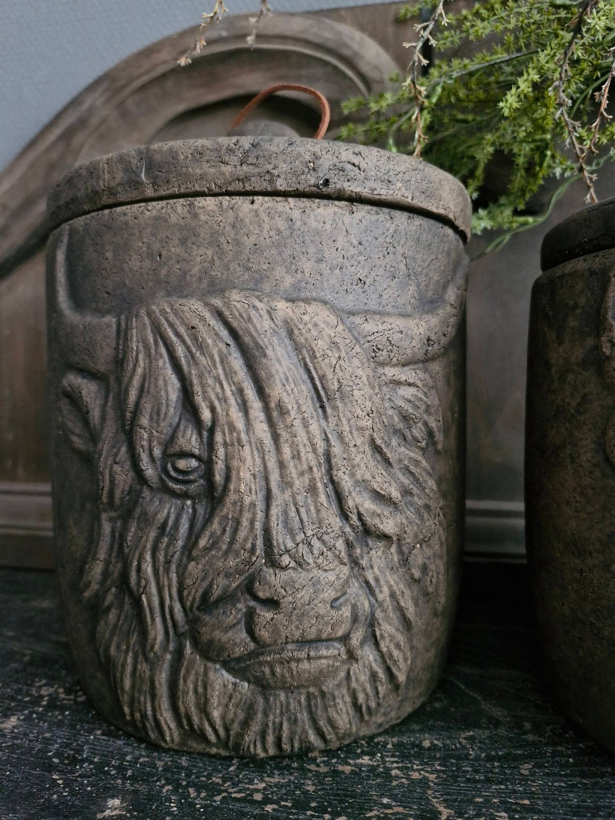 Brynxz. Pot en top. Scotty. Majestic Brown